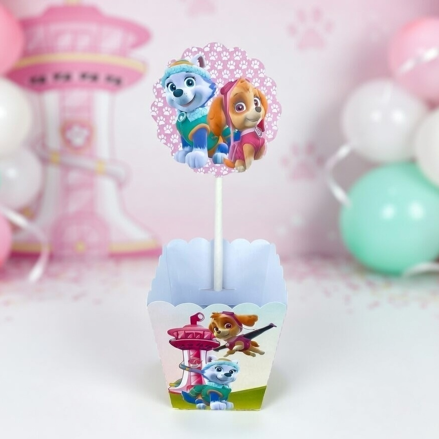 Centro de mesa Patrulha Canina menina, Skye e Everest, cachepô personalizado,  caixinha,  lembrancinha