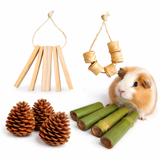Kit Brinquedos Naturais para Roedores Hamster Porquinho da Índia Coelho Madeira Pinus Bambu Pinha em Oferta na Shopee
