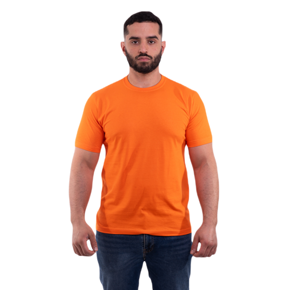 Camiseta 100% Algodão Masculina Malha Penteada Lisa Gola Redonda - Diversas Cores