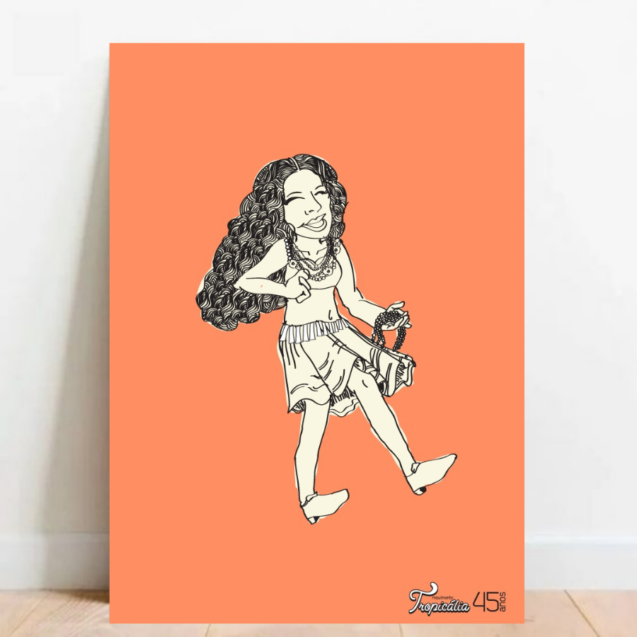 Quadro Placa DecorativaTropicalia Gal Costa gilberto gil chico buarque gal costa MPB tropicalismo