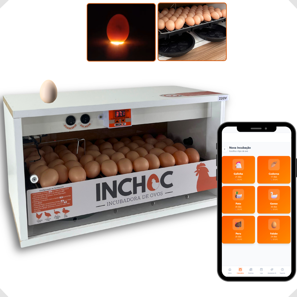 Chocadeira eletrica para ovos de Galinha de 50 ovos APP incluso GRATIS+rolagem automatica+Ovoscópio em Oferta na Shopee