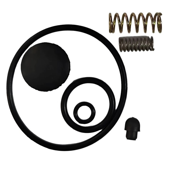 Kit Reparo Pulverizador De Compressão Prévia Pcp1p - Guarany