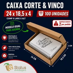 100 Caixas de Papelão Medidas Internas 24x18,5x4- Correios - IDEAL PARA AGENDA