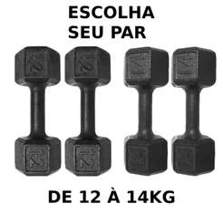 Par Halteres Pintado 12kg á 14kg Peso de Academia Dumbbell Sextavado Para Treino Em Casa Musculação