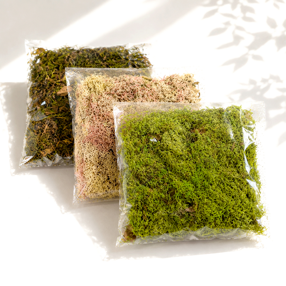 Imagem Kit com 5 Pacotes de Musgo para Artesanato - Cada Pacotinho com 20g