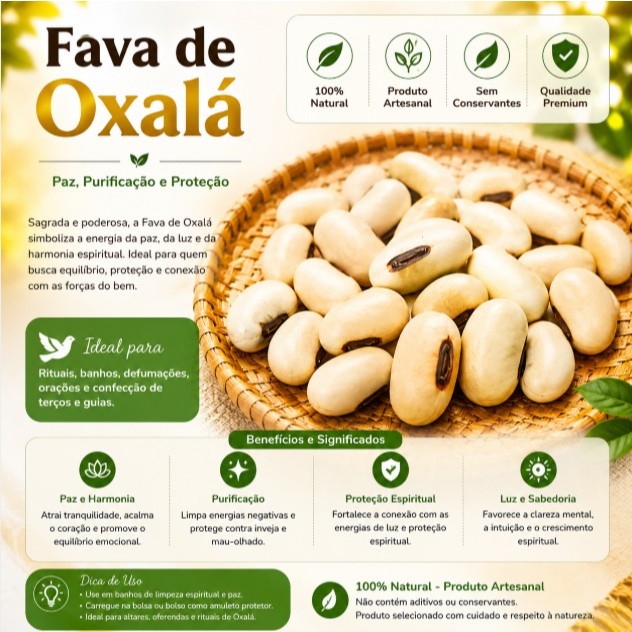 3 unidades - Fava de Oxalá - Rituais, Assentamentos, Trabalhos, Firmezas - Umbanda/Candomblé