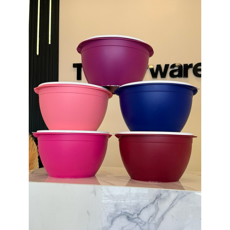 Tigela 10L Tupperware - Tigela Grande para churrasco e almoço em família