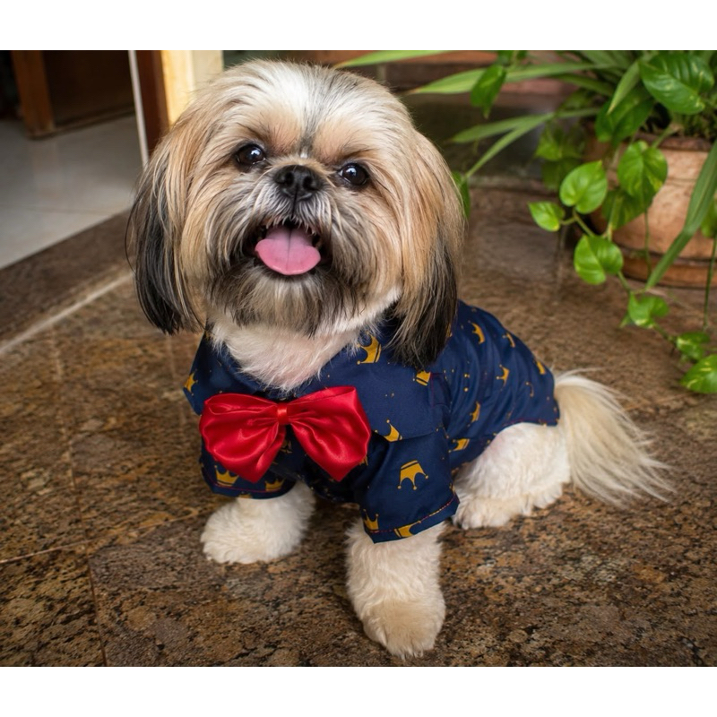 Pet, Roupa Para Cachorro Gato Roupinhas/ roupinhas pet / dia dos pais/Camisa social/Camisa social pet