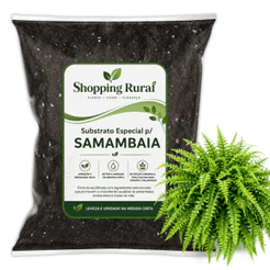 Substrato Premium para Samambaia - Plantas Pendentes Sempre Lindas