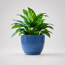 Vaso Para Plantas Decorativo Sala Jardim Bojo Redondo com Prato Liso Polido Marmorizado Centro Mesa