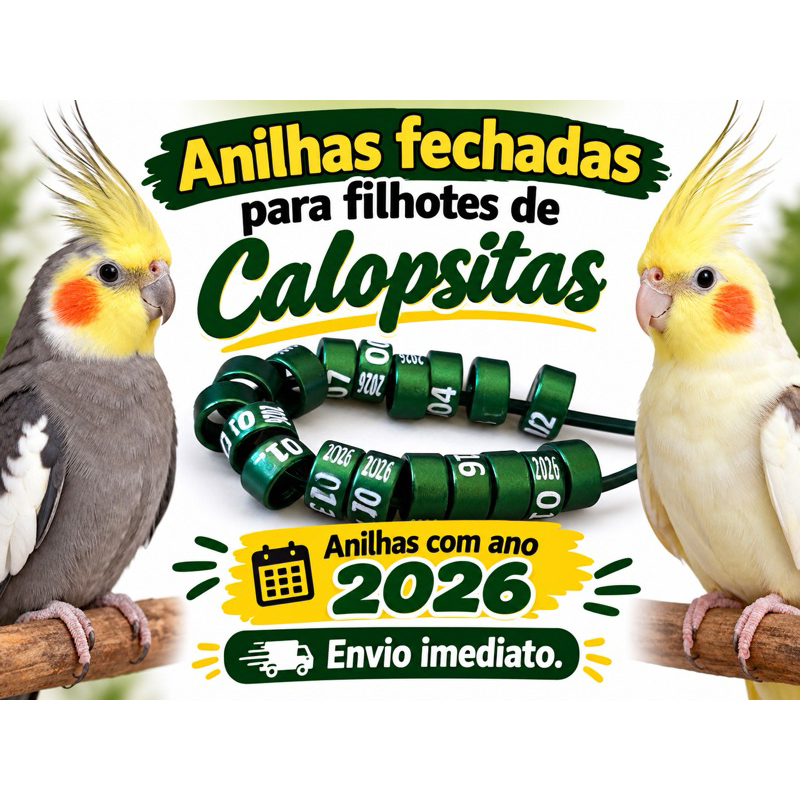 5 a 10 anilhas FECHADAS 5.5mm para FILHOTES DE calopsitas, roselas 5.5 mm