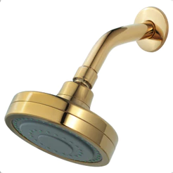 Chuveiro Ducha Articulável Gás e Solar Redondo Autolimpante Parede Inox Com Braço Banheiro Dourado Gold Brilhante