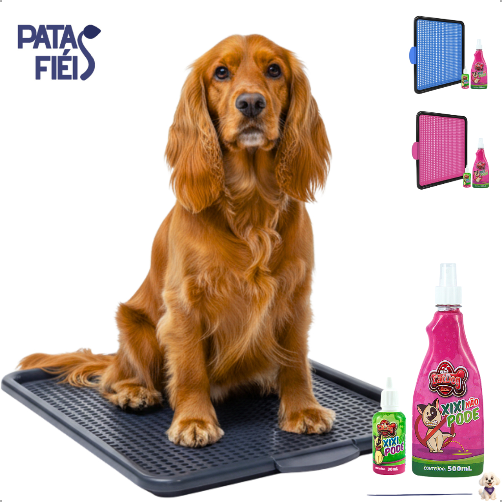 Sanitário Cachorro Canino + Educador Canino Xixi Sim e Não