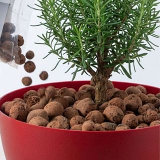 Argila Expandida Saco 1 - 5 Kg, 12.5 L Drenagem Ideal e Decoração, Planta Saudável - Jardim e Vasos em Oferta na Shopee