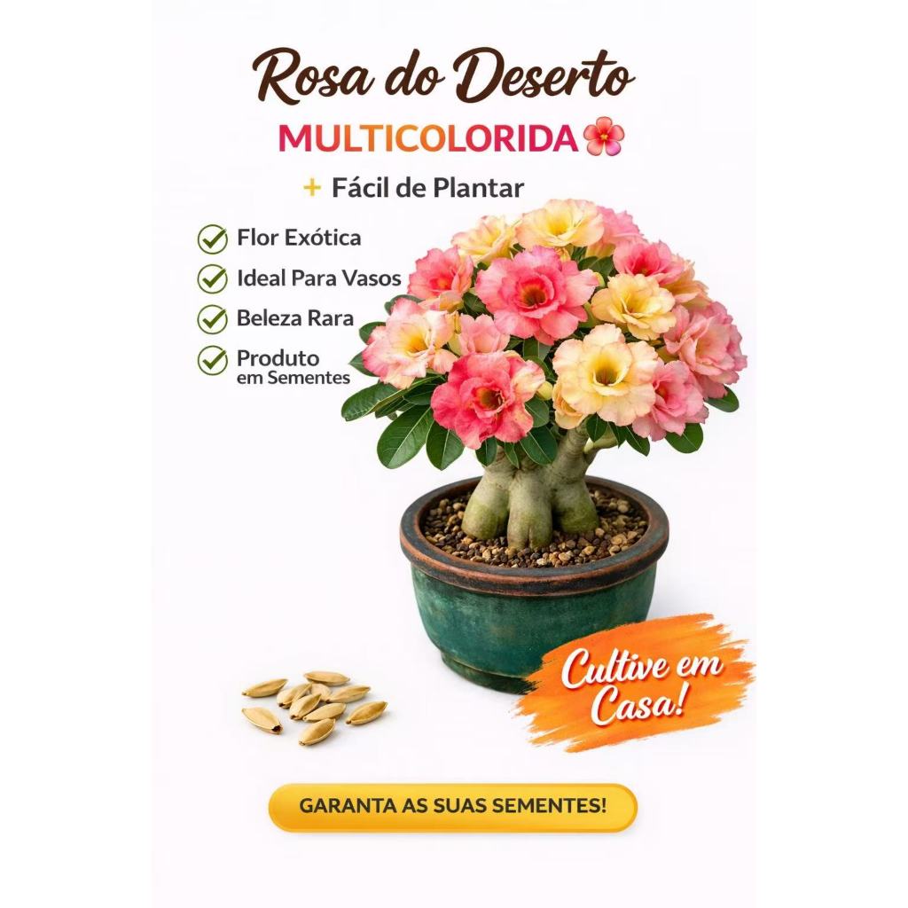 Sementes Rosa do Deserto Adenium Obesum Alta Germinação Flores Coloridas Fácil Cultivo Jardim