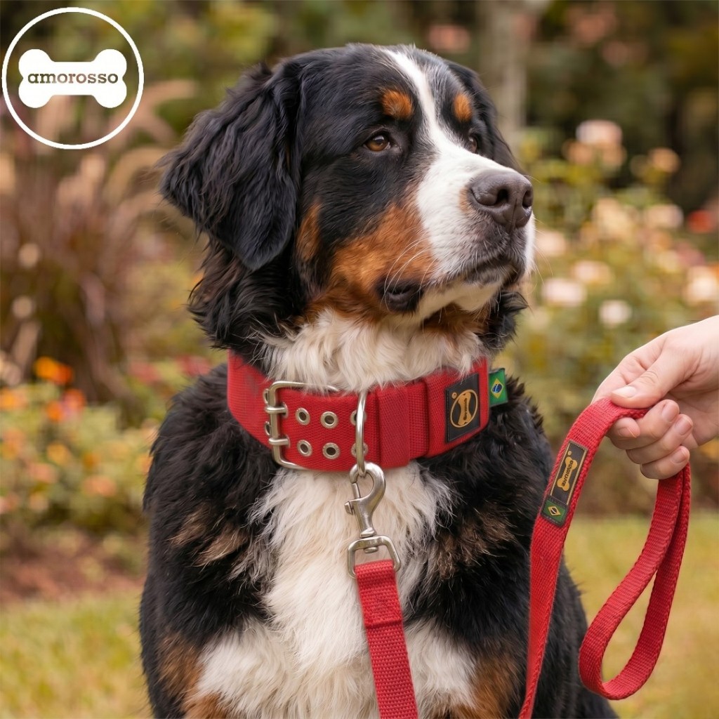 Coleira Guia 80cm de Mosquetão Vermelho Grande Porte Cachorro Bernese Pitbull Rottweiler Cane Corso  Pastor Alemão Cão