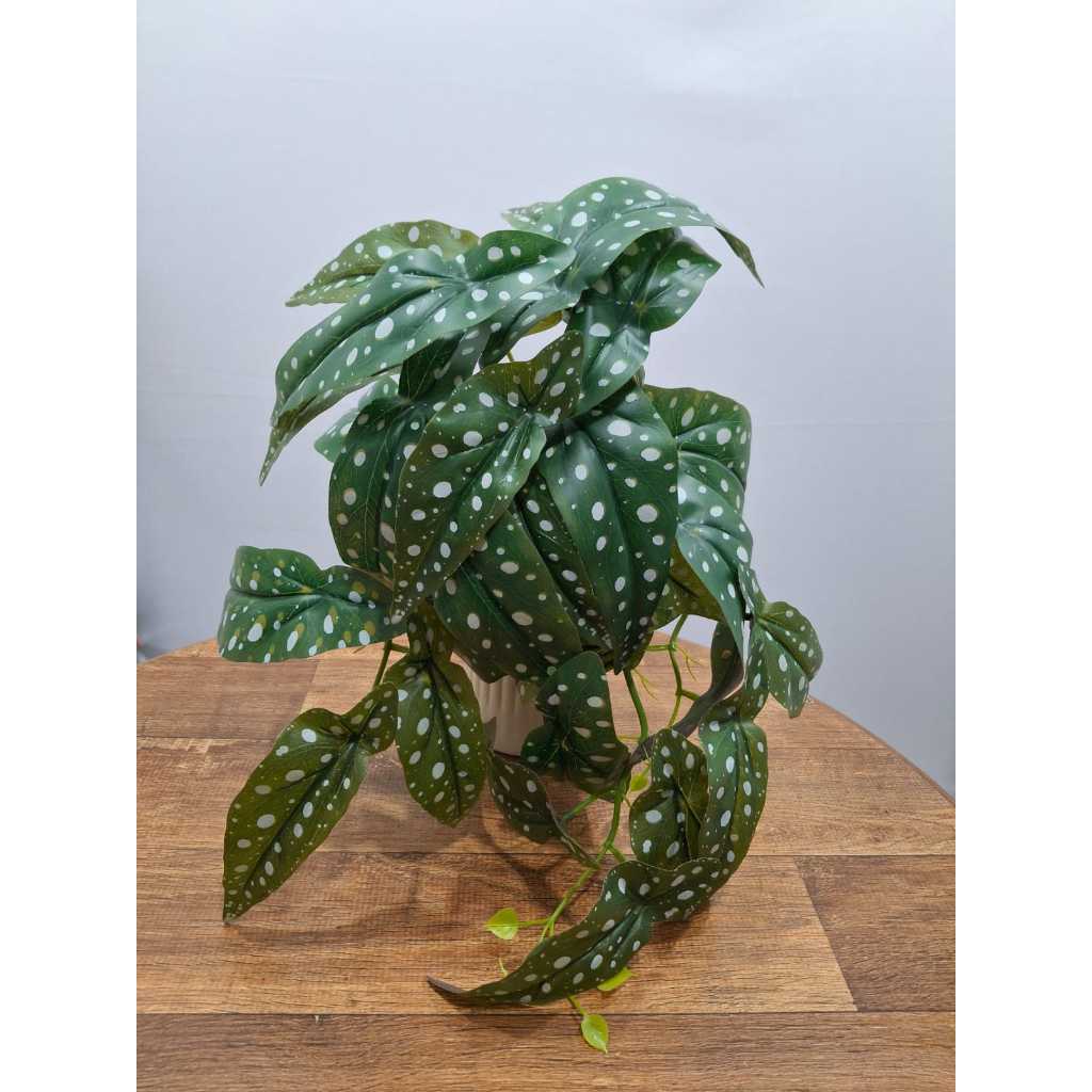 Planta Artificial Begônia Maculata Planta Decorativa Sem Vaso Decoração Casa Sala Realista