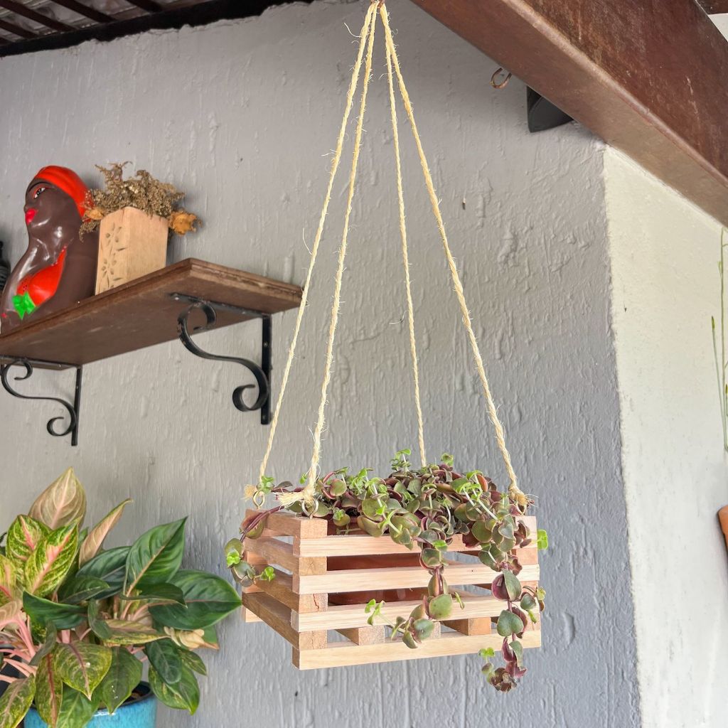 Cachepot (Cachepô) de Madeira Eucalipto Para Plantas Decoração Jardim Rústico