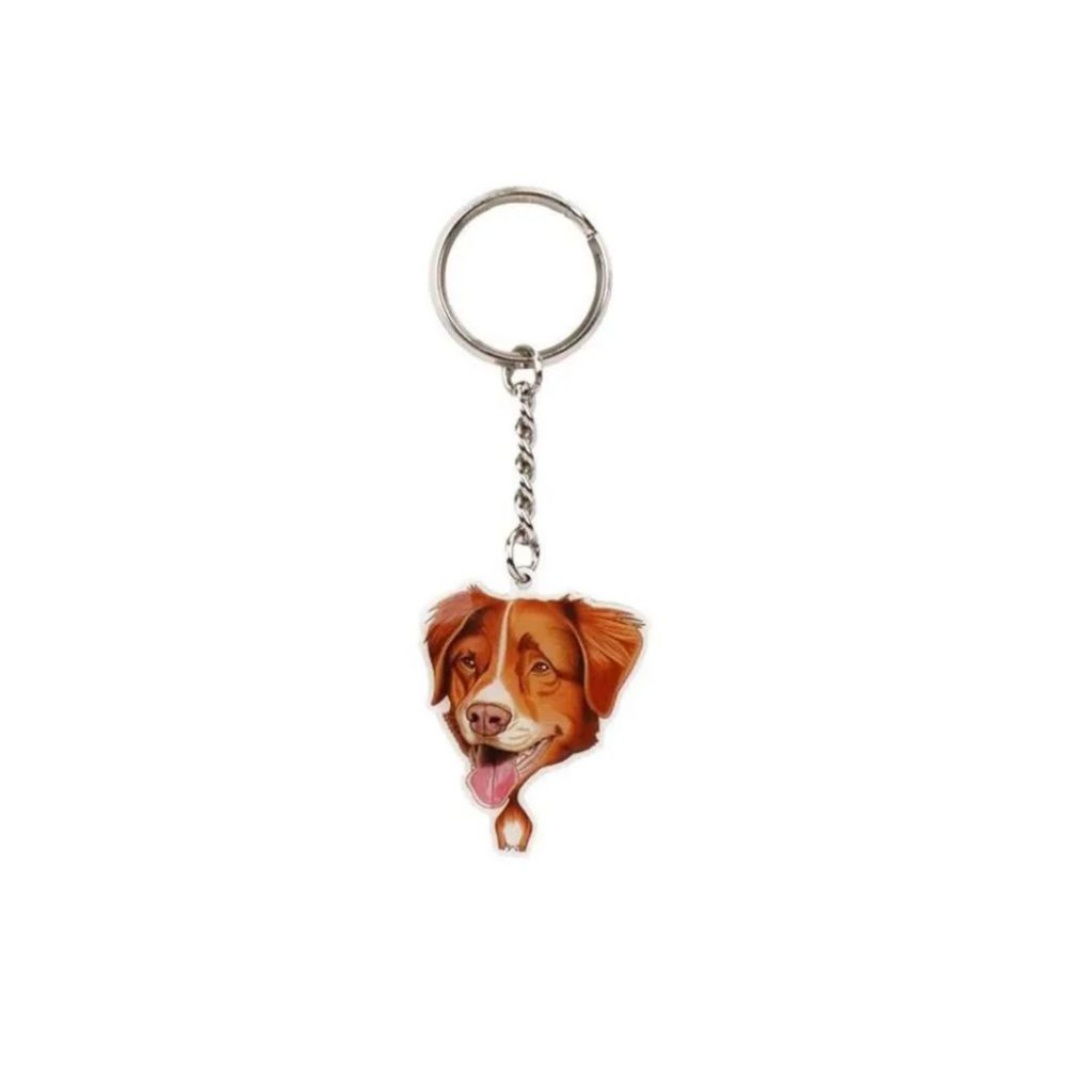 Chaveiro de Metal Heads Cachorro Raça Nova Scotie Retriever