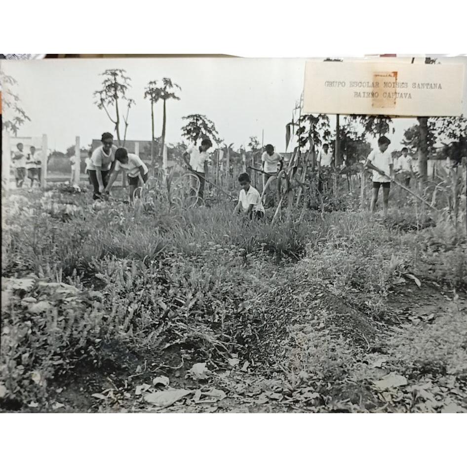 Fotografia Escolar Grupo Moisés Santana Bairro Capuava Goiânia Goiás 1972
