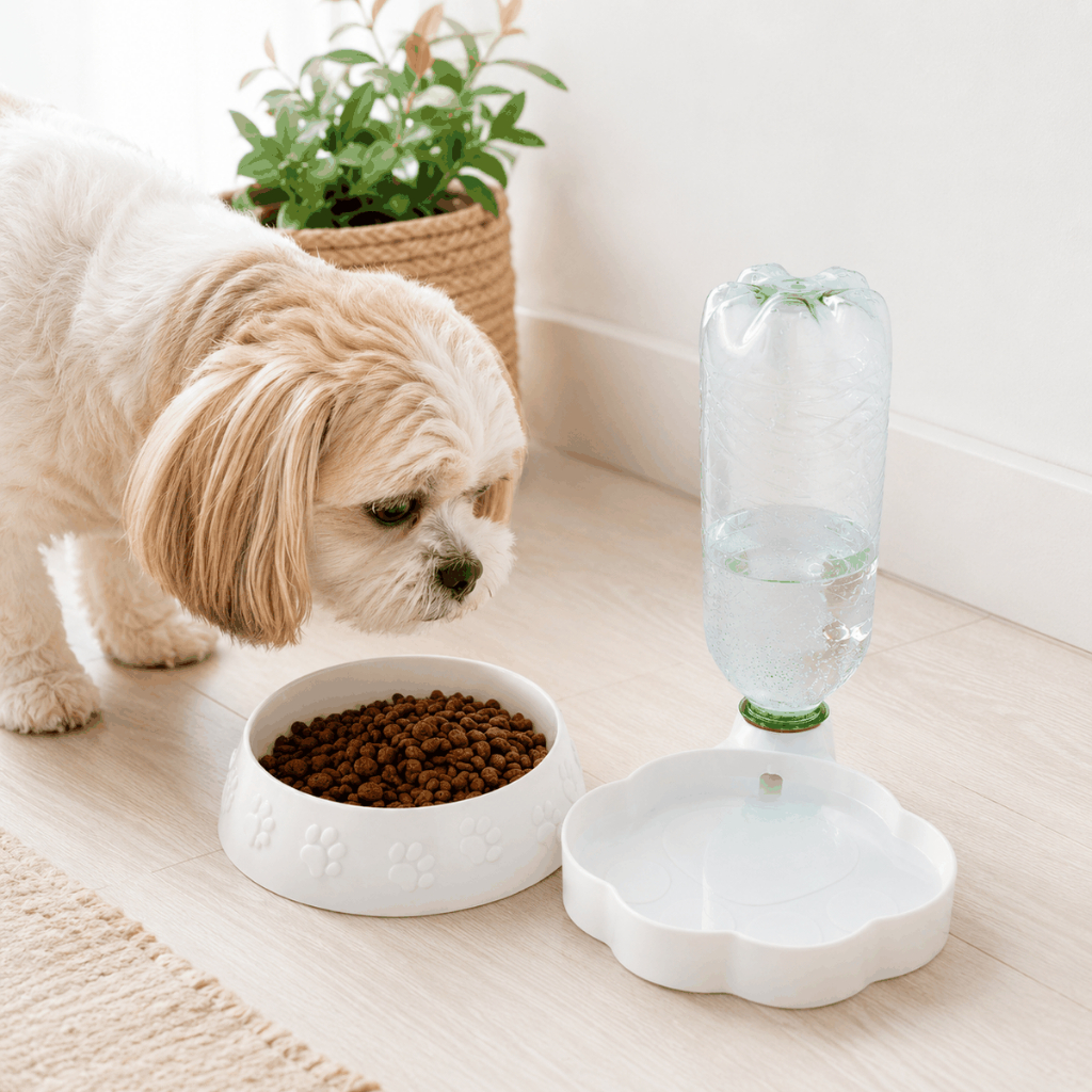 Kit Bebedouro Automático + Tigela de Comida Para Cães Comedouro Pet Antiderramamento Tigela de Comida para Cachorro Pet