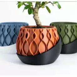 Vaso Rega Sozinho - Autoirrigável Novo Modelo Vaso Bonito