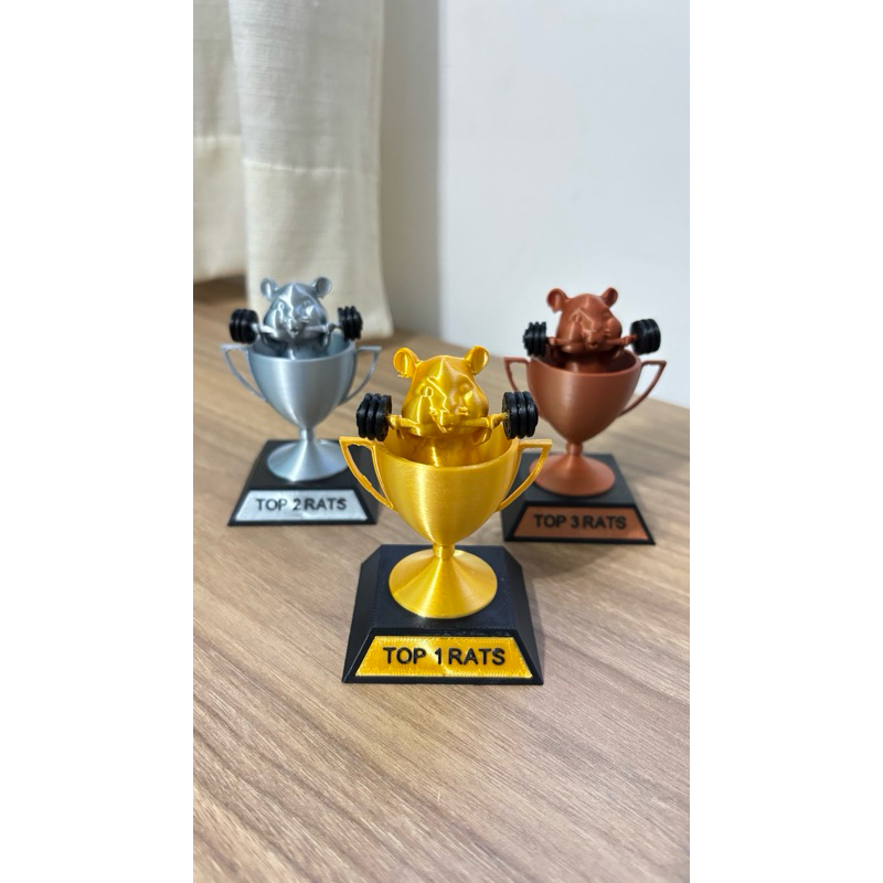 Troféu Fitness Personalizado Ouro Prata Bronze | Premiação Desafio Academia | Estilo Gym Rats 3D
