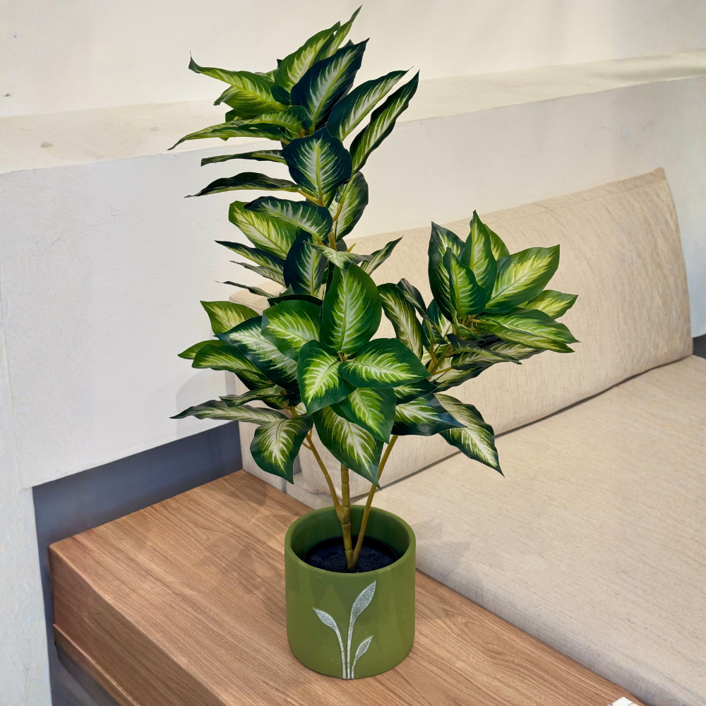 Planta Calateia  Artificial 75cm  Realista Variada