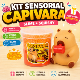 Kit Sensorial Capivara Slime Squishy Antiestresse Presente Infantil Brinquedo Sensorial Criança