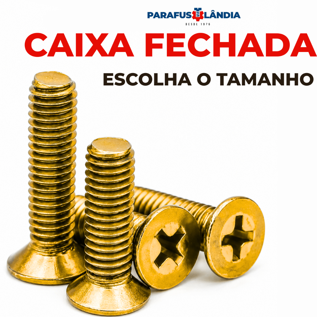 Parafuso Rosca Máquina Philips Cabeça Chata Caixa Fechada 100/200/500 Unidades - Diversas Medidas