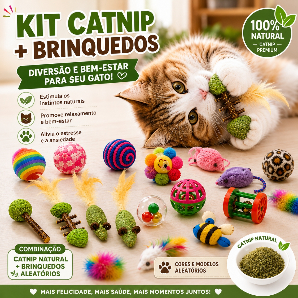Kit 8-25 Brinquedos para Gatos Catnip Bolinhas e Brinquedos Sortidos