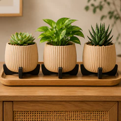 Kit Mini Vasos Decorativos Suculentas Cachepot com Pezinho Vasinhos Canelado Suporte Cactos Plantas Decoração Casa