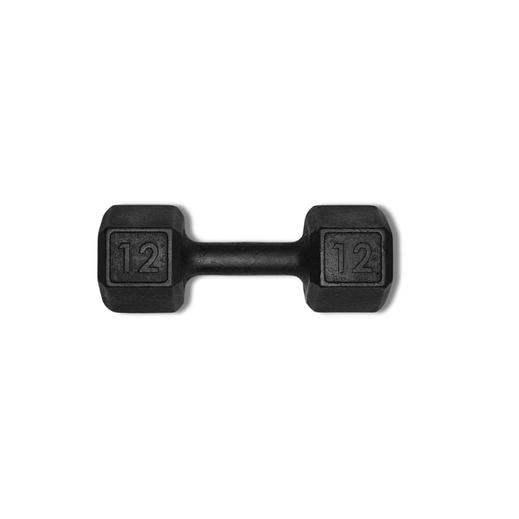 Halter 12kg Pintado Profissional Musculação Academia Peso Livre Uma Unidade