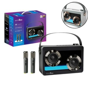 Caixa De Som Portátil Bluetooth 40W Com 2 Microfones Karaokê