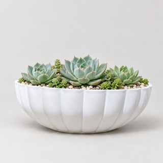 Vaso bacia decorativo para planta estilo moranga 34x15