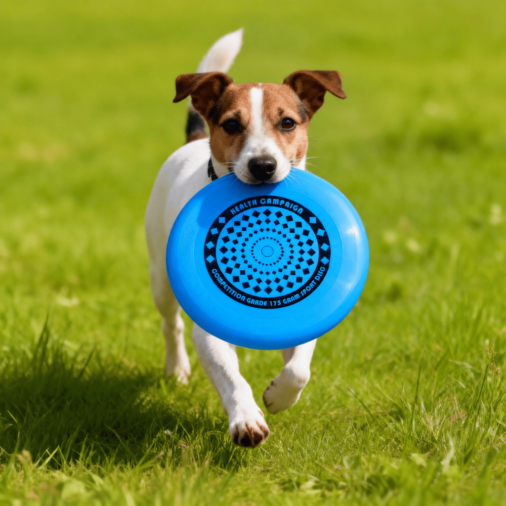 Disco Voador Esportivo 175g para Treino Lazer ao Ar Livre Brinquedo Interativo para Pessoas e Pets