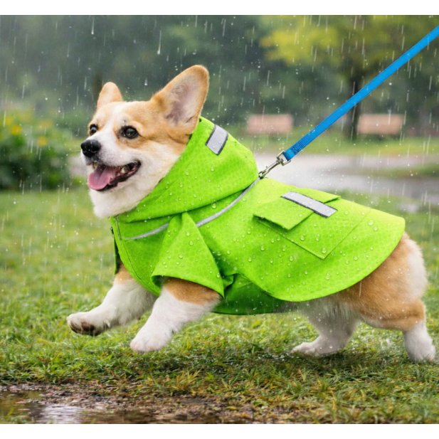 Capa de Chuva Impermeável para Cachorros com Capuz | Roupa Pet Refletiva