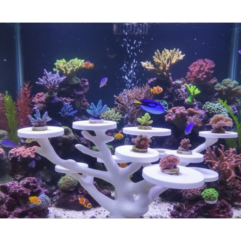 Suporte de corais para aquário marinho em Oferta na Shopee