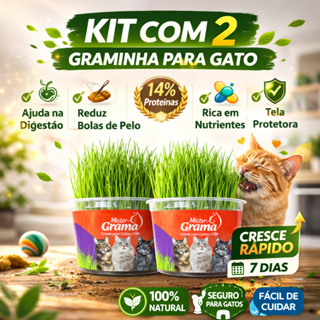 Grama Para Gato Mister C/ 2 Unidades – Auxilia na Digestão e Bola de Pelo / Fácil de Plantar em Oferta na Shopee