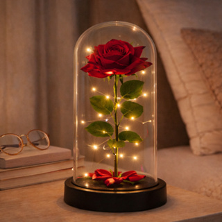 Flor Eterna Rosa Encantada Cúpula Grande 22cm Redoma A Bela e a Fera Luminária Abajur Luz LED Presente Pequeno Príncipe em Oferta na Shopee