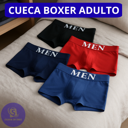Kit Cueca Boxer Lisa Sem Costura Masculino Adulto Cores Variadas em Oferta na Shopee