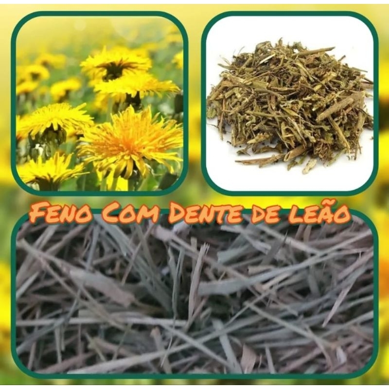 Feno com Dente de leão 500G