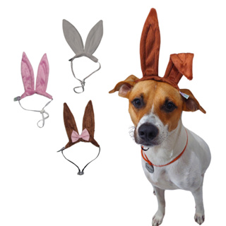 Orelha Orelhinha de Coelho Páscoa Para Cachorro e Gato Pets em Oferta na Shopee