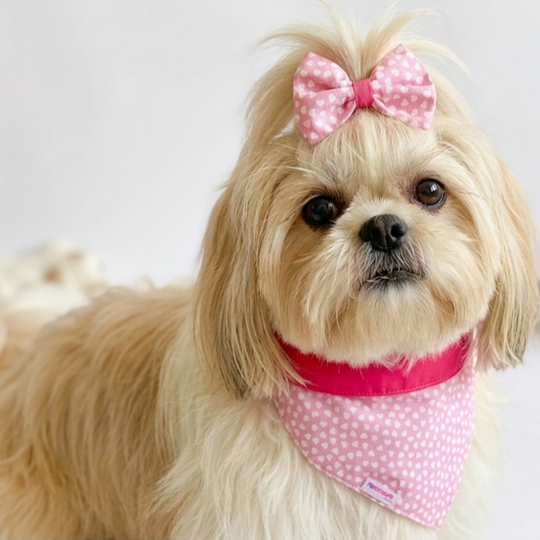 Kit Bandana Pet Dupla Face Coração Laço Pet Femêa Acessórios  Cachorro Gato  Formosura Pet