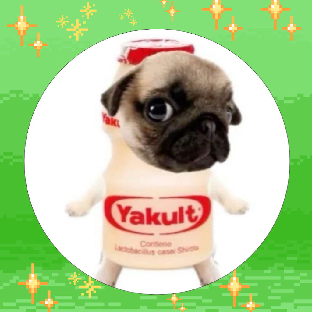 BOTTON Pug Yakult Fofo Cute Aesthetic - Bottons 4,5 cm - Broche alfinete - Pin