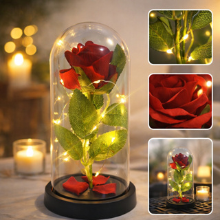 Cúpula Rosa Flor Decorativa Encantada Luminária Led em Oferta na Shopee