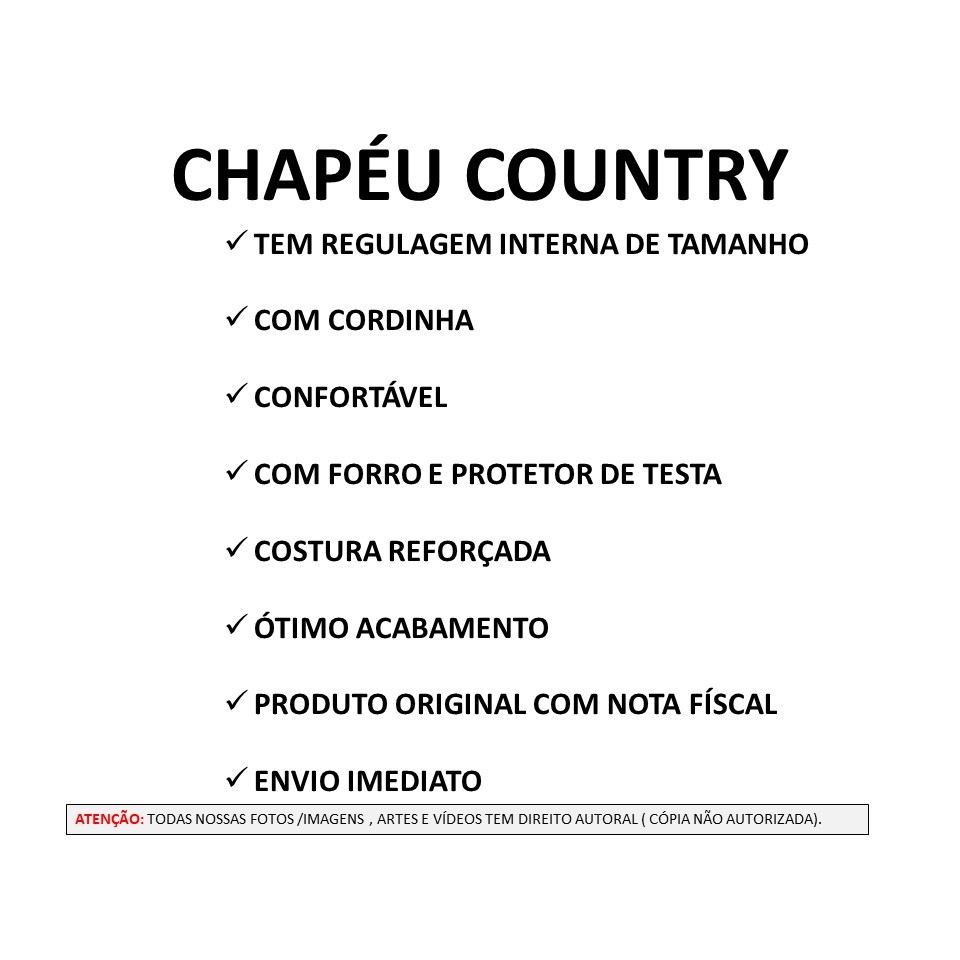 CHAPÉU COUNTRY INFANTIL BEBÊ COWBOY RODEIO FESTA JUNINA SÃO JOÃO SERTANEJO — imagem 2 de 2