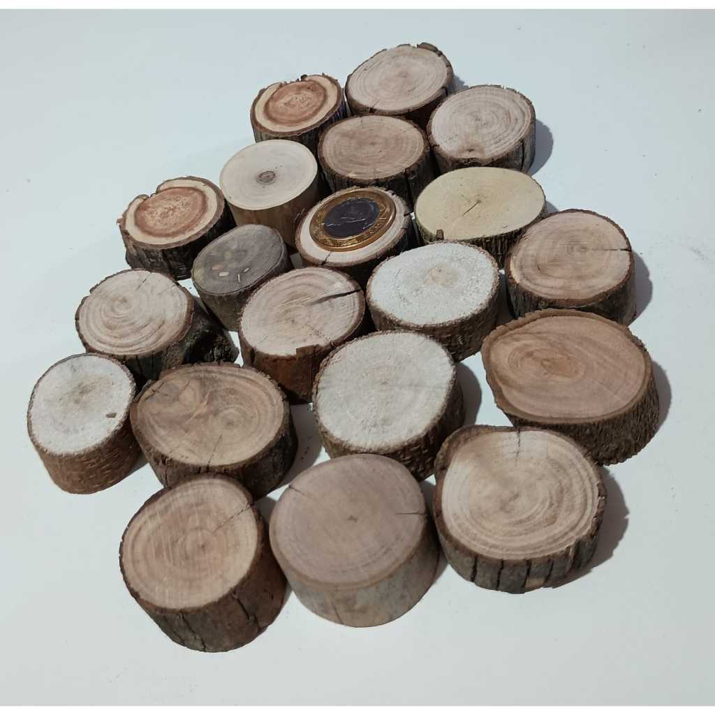 Kit 20 Mini Bolacha de Madeira Natural Rústica entre 3 a 4 cm - Madeira de Demolição - Pinterest Style