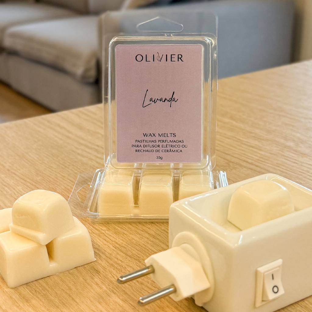Kit Aromatizador Difusor Elétrico de Porcelana + Wax Melts Pastilhas Perfumadas