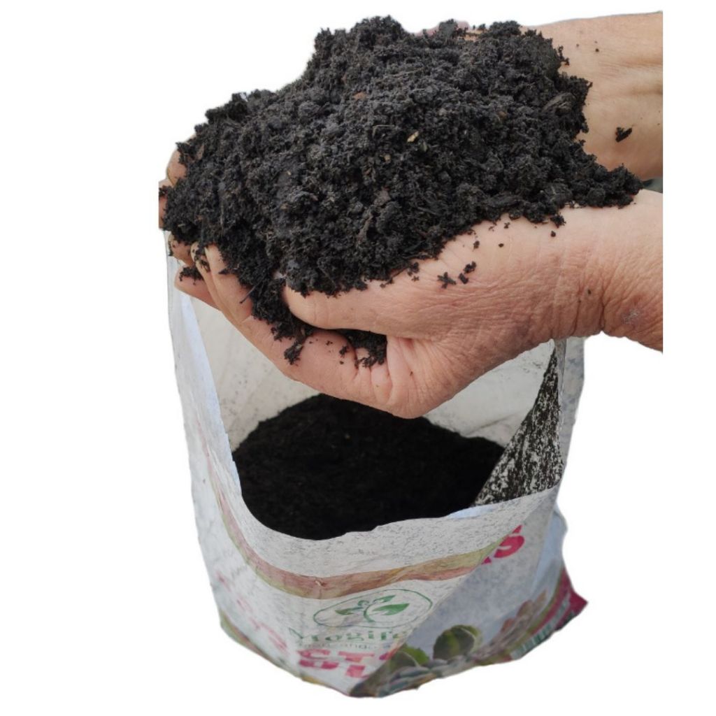 Substrato Completo Para Cactos e Suculentas 2Kg Mogifertil